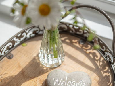 Bild 3 aus  Lindenhof