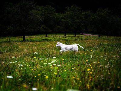 Bild 5 aus  Friedershof