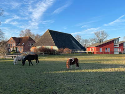 Bild 55 aus  Ferienhof Lüders-Köneke, Marianne Lüders-Köneke