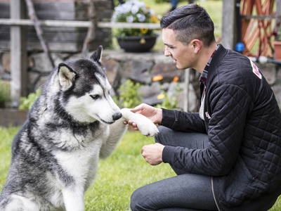 Bild 21 aus  Bachmannhof