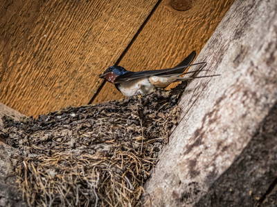 Foto von Oberpfälzer Wald