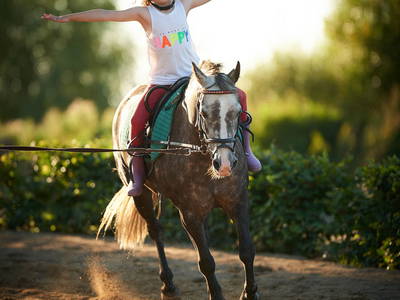 Bild 37 aus  Gut Friederikenhof