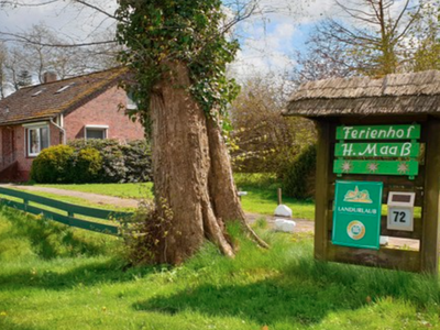 Bild 2 aus  Ferienhof Maaß