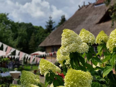 Bild 21 aus  Hof Alte Zeiten