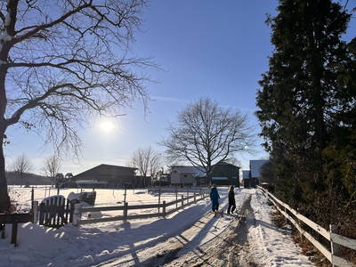 Bild 59 aus  Ferienhof Sell Bauernhofurlaub Ostsee Ponys