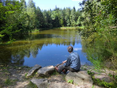 Im Nationalpark Hunsrück-Hochwald (bei Hattgenstein)