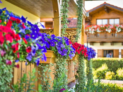 Bild 14 aus  Wenighof