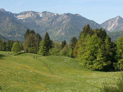 Bild 6 aus  Bucherhof