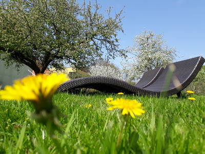 Bild 6 aus  Ferienhof Hafflandsichten auf Usedom