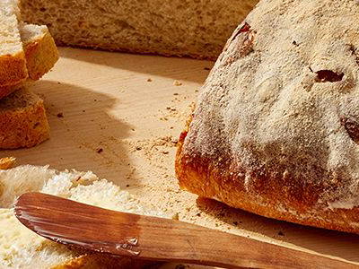 Bild 10 aus  Obst- und Ferienhof Ragg