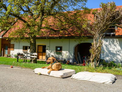 Bild 19 aus  Der Ofenmacherhof  Urlaub am Bauernhof