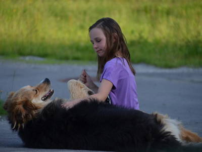 Bild 9 aus  Der Adlerhof