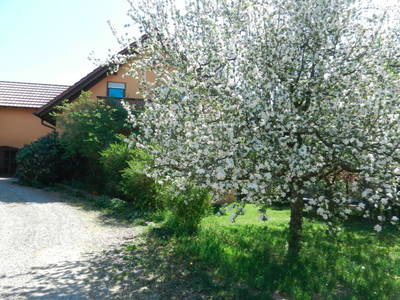 Bild 13 aus  Ferienbauernhof Am Hoersch