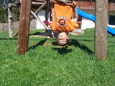 Bild 26 aus  Farnbauernhof