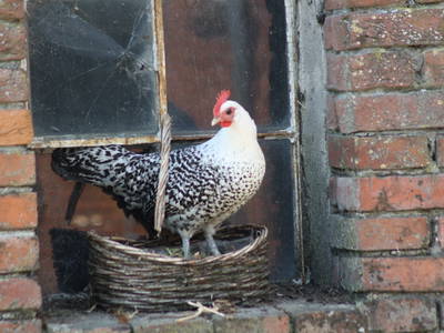 Bild 7 aus  Willrathshof