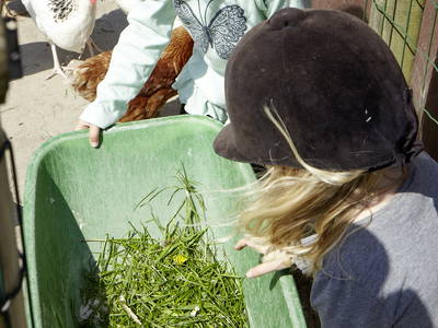 Bild 14 aus  LandSelection Traberhof