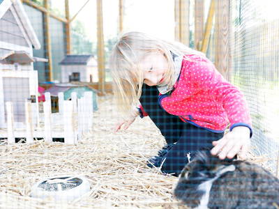 Bild 13 aus  Hofbude Fehmarn