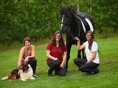 Bild 15 aus  Siglgut