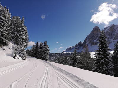 Bild 40 aus  Oberpiskoihof, Auszeit in den Südtiroler Dolomiten