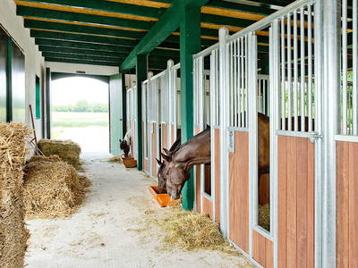 Bild 8 aus  Söhrenhof