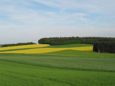 Landschaft bei Sulzbach