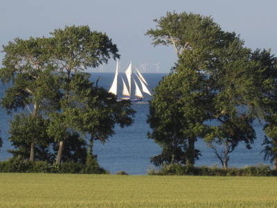 Segelschiffe ziehen an unserem_Hof vorbei