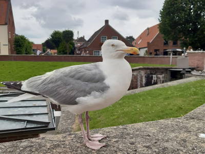 Bild 30 aus  Ferienhof Hasseler