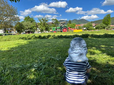 Bild 27 aus  Rummelbartlhof