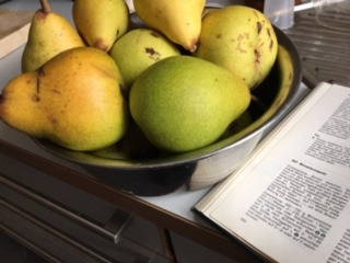 Alte Sorte Kochbirnen. Der Baum blüht Anfang Mai ganz toll! Ferner: Kennen Sie das schleswig-holsteinische Rezept "Birnen-Bohnen-Speck"??? Dafür eignen sich unsere Birnen besonders gut.