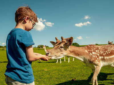 Bild 10 aus  LandSelection Grieshof