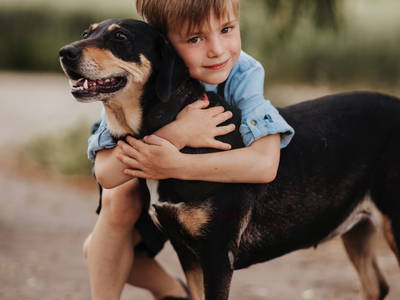 Bild 16 aus  Wendelinshof