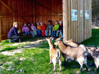 Naturpädagogik im Feldstall