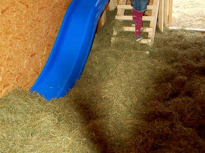 Bild 10 aus  Ferienhof Häckler