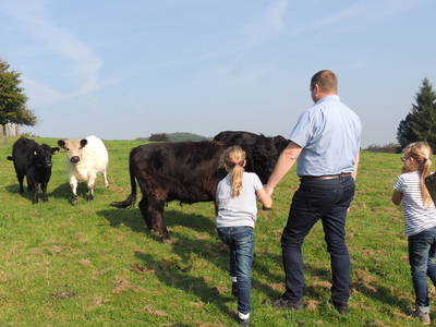 Bild 11 aus  Ferienhof Gröne