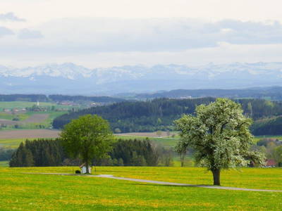 Bild 109 aus  Allgäu Bergferienhof
