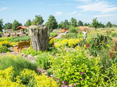 Bild 19 aus  Bauer Korl's Golchener Hof