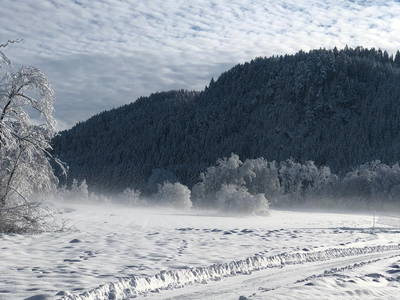 Winterbild vom Talhof