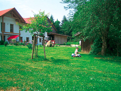 Bild 11 aus  Schollerhof