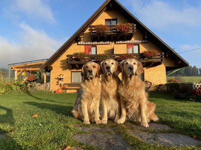 Bild 23 aus  Ferien-Landhaus-Isolde