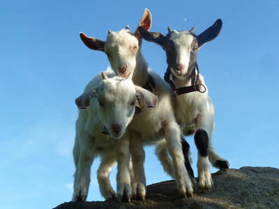 Bild 21 aus  Landhaus Rombach