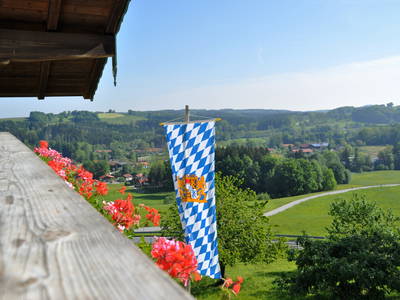 Bild 9 aus  Taffenreutherhof