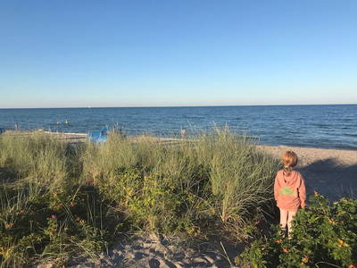 Bild 34 aus  Ferienhof Sell Bauernhofurlaub Ostsee Ponys