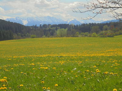 Bild 15 aus  Georgenhof