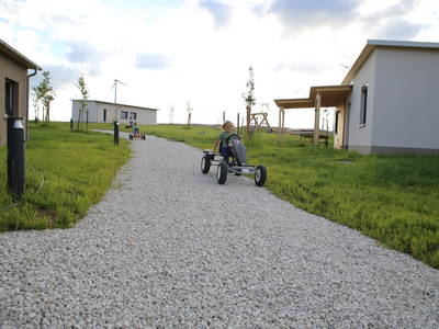 Bild 57 aus  Hollweck's Landoase