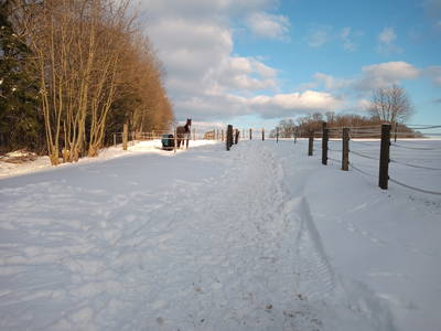 Bild 26 aus  Wohlfühlwohnung im Grünen auf Pferdehof