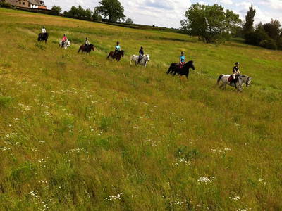 Bild 7 aus  Reiterhof Tramm