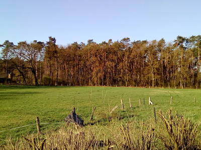 Bild 4 aus  Bauernhof Laave