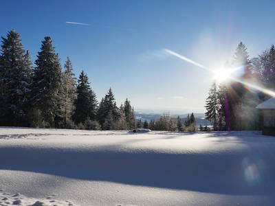 Bild 23 aus  Farnbauernhof