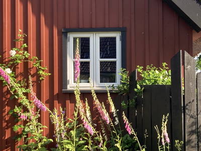 Bild 13 aus  Zauberhafte reetgedeckte Darßer Ferienhäuser für 2 - 4 Pers.