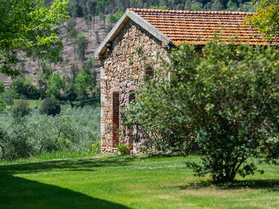 Bild 39 aus  Tenuta Il Cicalino